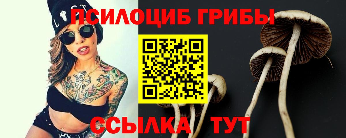 Псилоцибиновые грибы Magic Shrooms  Вход с VPN  Саянск  даркнет сайт  Псилоцибиновые грибы Cubensis 